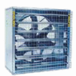 100*100 Panjurlu Fanlar