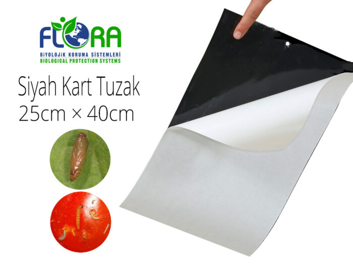 15*100 Sarı-Mavi-Siyah Tuzaklar - Görsel 1