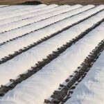 Solarizasyon Örtüleri